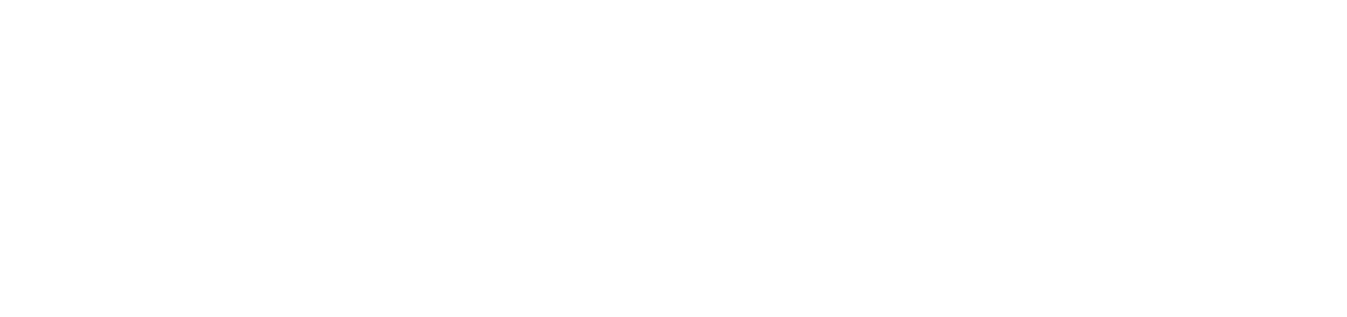 MGE: Management Experts Inc