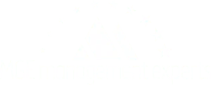 MGE: Management Experts Inc