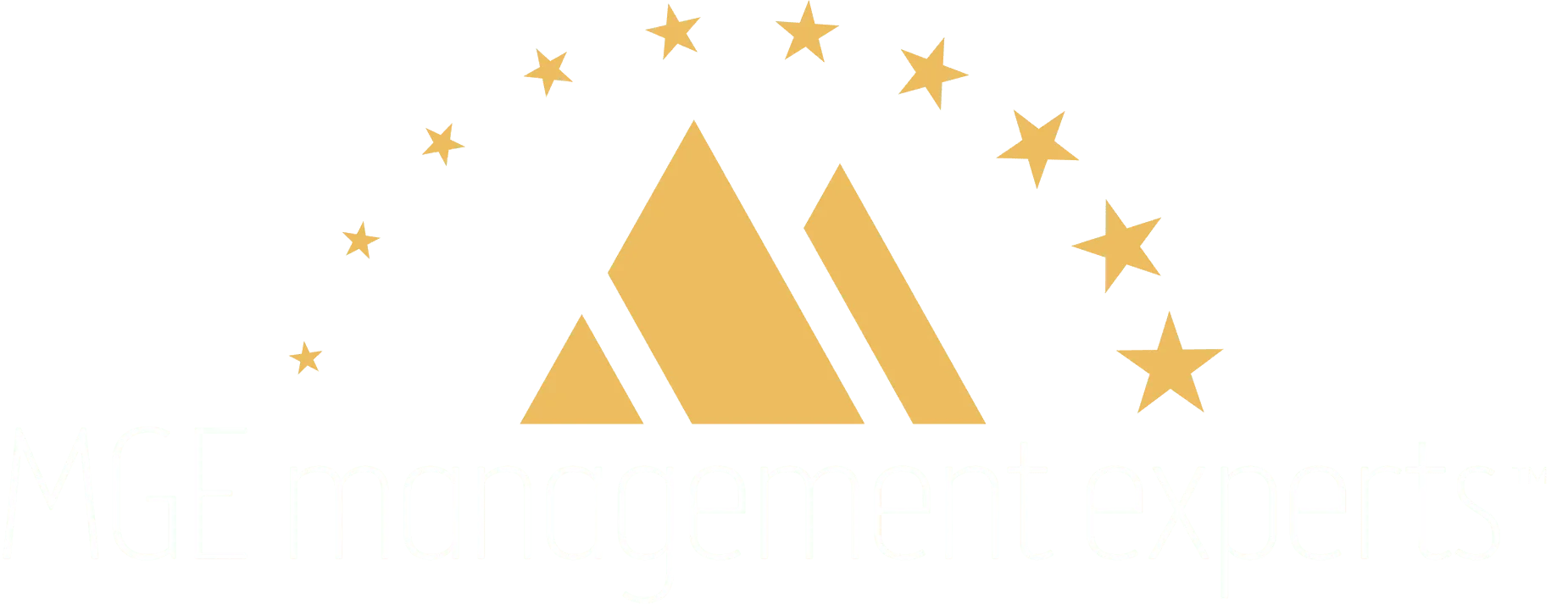MGE: Management Experts logo